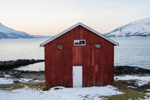 Depuis Tromsø : visite guidée des paysages arctiques