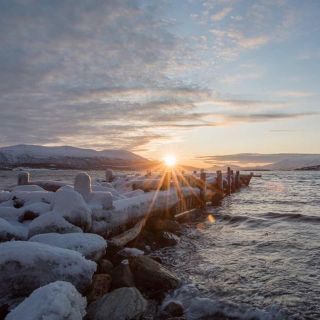 Tromsø: Arctic Sightseeing Tour & Citizen Science Project