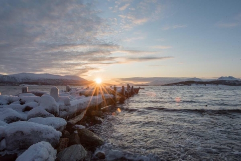 Van Tromso: Small-Group Arctic Landscapes Sightseeing Tour
