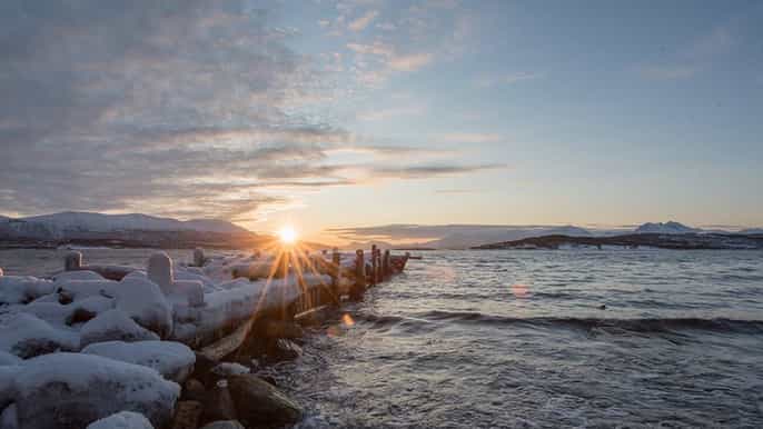 from tromso smallgroup arctic landscapes sightseeing tour