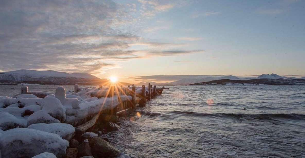 From Tromso: Small-Group Arctic Landscapes Sightseeing Tour