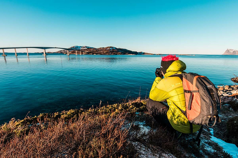 Van Tromso: Small-Group Arctic Landscapes Sightseeing Tour