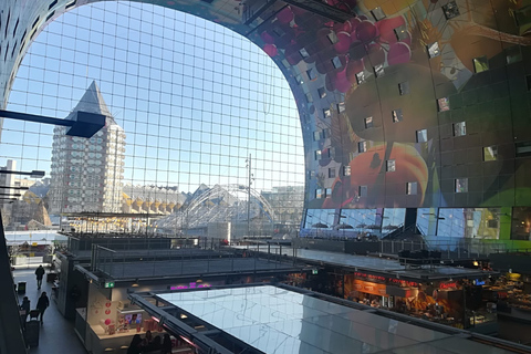 Rotterdam : visite à pied et croisière dans le port