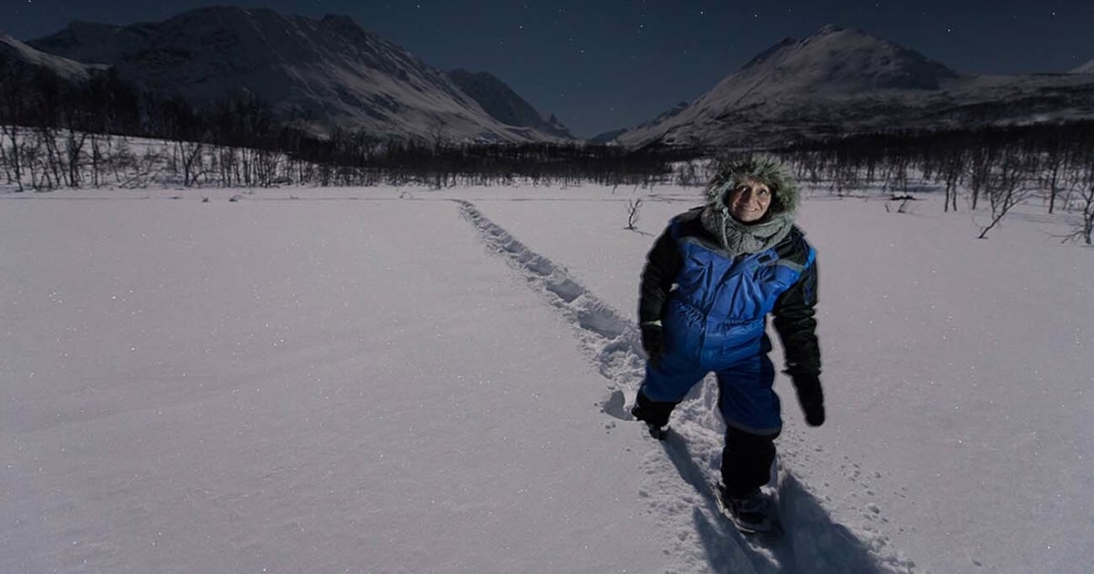 From Tromsø: Night Snowshoeing Tour | GetYourGuide