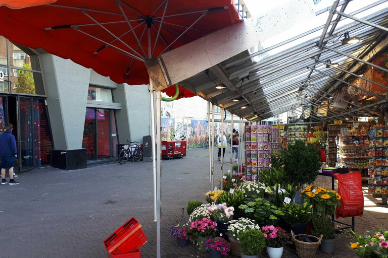 Amsterdam: tour a piedi della città e crociera sui canali