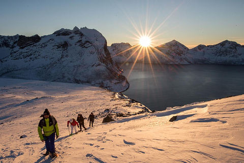 Od Tromso: Small-group Snowshoeing Tour