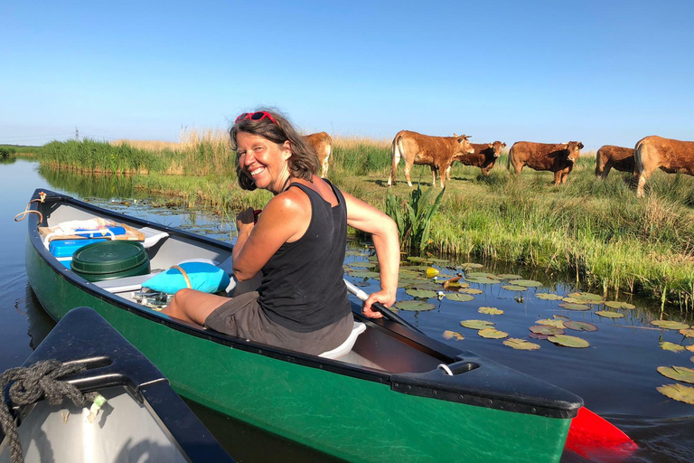 Amsterdam: Dutch Countryside Sunset Canoe Tour