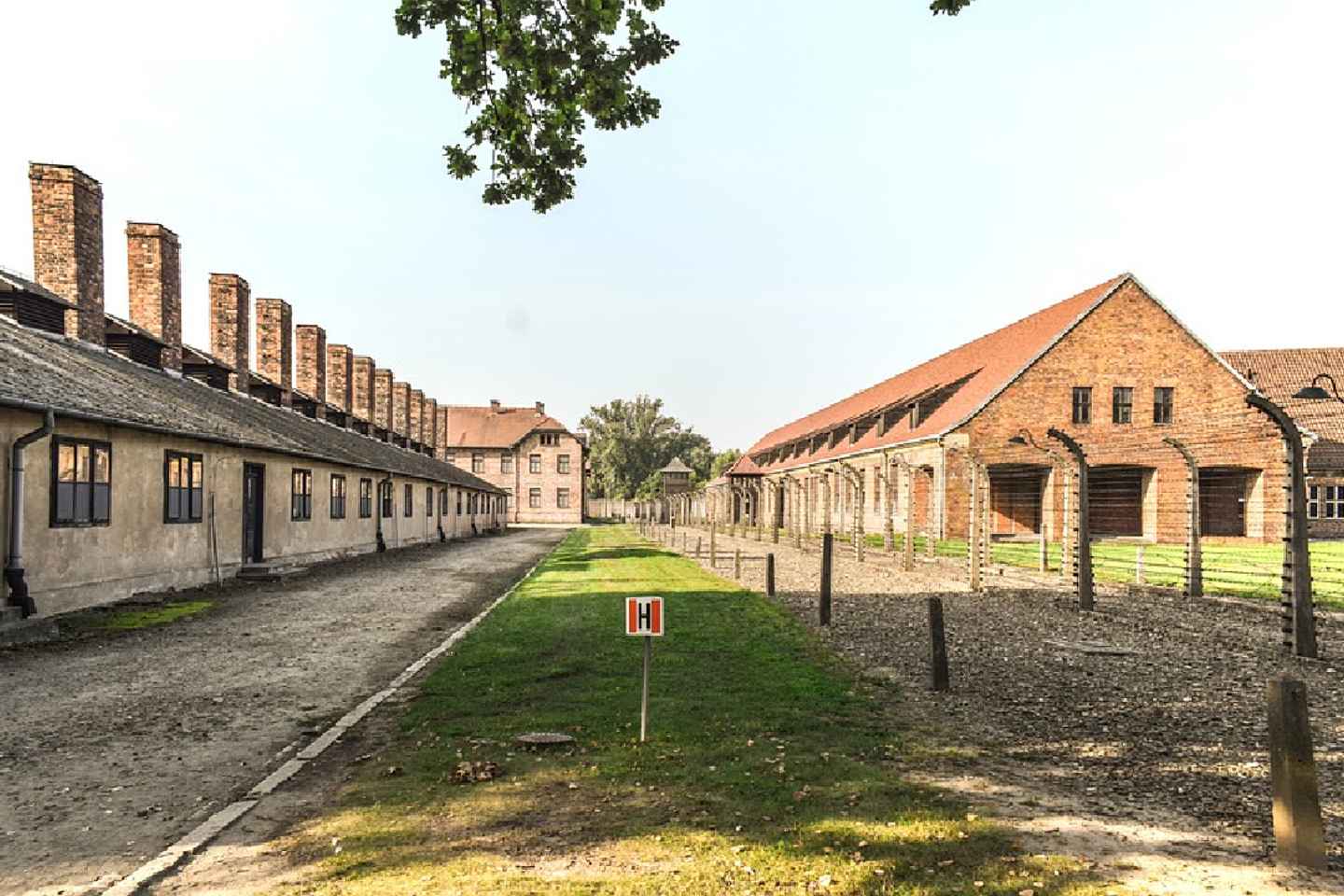 Auschwitz-Birkenau Museum Tour from Krakow