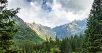Zakopane, Sightseeing Tour from Krakow - Housity