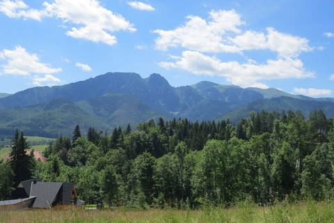 Zakopane: sightseeingtour vanuit Krakau