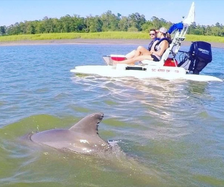 Hilton Head Island: 2-Hour Guided Creek Cat Tour