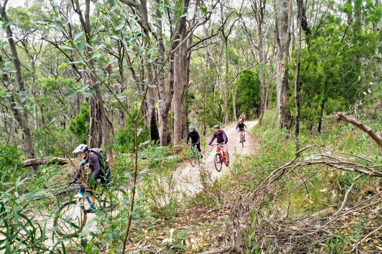 Mount Lofty Downhill Bike Tour & Cleland Wildlife Park Visit