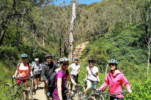 Mount Lofty Downhill Bike Tour & Cleland Wildlife Park Visit