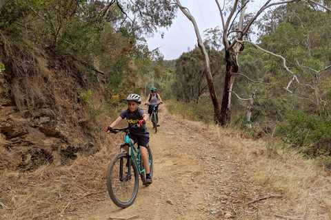 Mount Lofty Downhill Bike Tour & Cleland Wildlife Park Visit