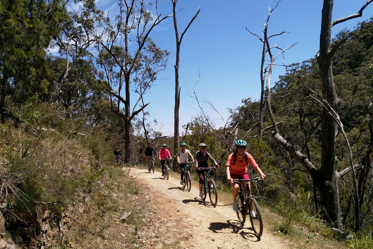 Mount Lofty Downhill Bike Tour & Cleland Wildlife Park Visit