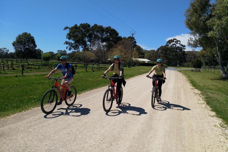 Excursão de bicicleta pelas vinhas e vinhos de Mclaren Vale Hills saindo de Adelaide