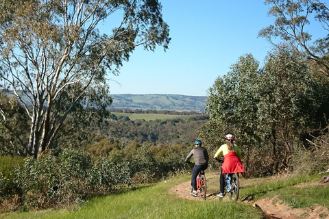 Mclaren Vale Hills Reben und Weine Fahrradtour ab Adelaide