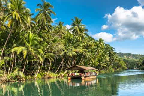 From Cebu: Full-Day Trip To Bohol with Lunch