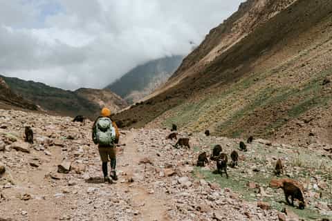 Marrakech: Atlas Mountains and Agafay Desert Day Trip