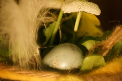 Dresden: Private cooking class with matching drinks included Dresden: Private cooking class with matching drinks