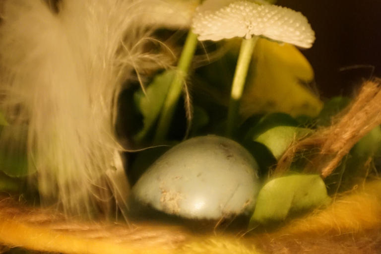 Dresden: Private cooking class with matching drinks included Dresden: Private cooking class with matching drinks