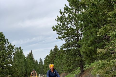 Mickelson Trail: 20-Mile Private Bicycle Tour