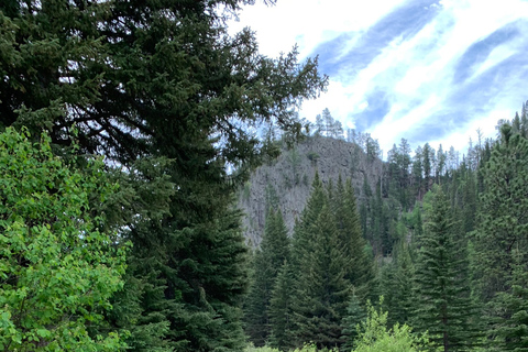 Mickelson Trail: 20-Mile Private Bicycle Tour