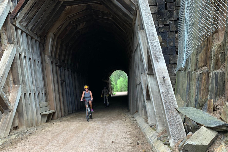 Mickelson Trail: 20-Mile Private Bicycle Tour