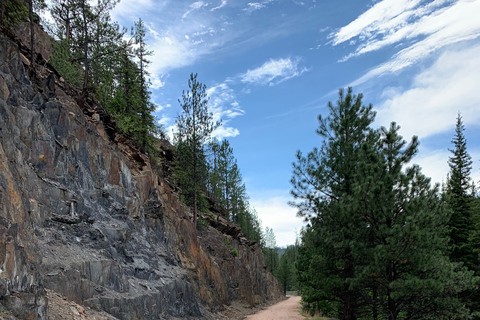 Mickelson Trail: 20-Mile Private Bicycle Tour