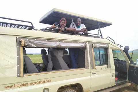 Nairobi-Nationalpark: Safari-TourPrivate halbtägige Safari-Tour im Jeep mit offenen Seiten