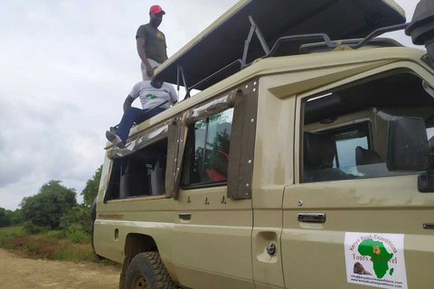 Nairobi: 3-tägige Maasai Mara SafariTour mit Camping