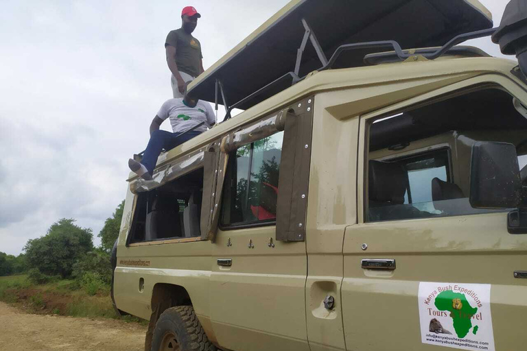 Nairobi: safari di 3 giorni nel Maasai MaraTour con campeggio