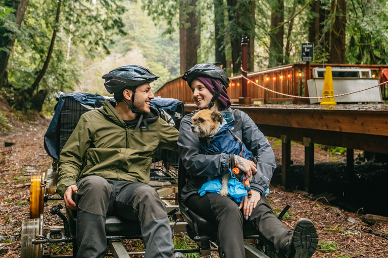 Mendocino County: Pudding Creek Railbikes