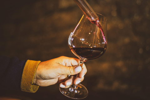 Tour privato di lusso del vino in Borgogna