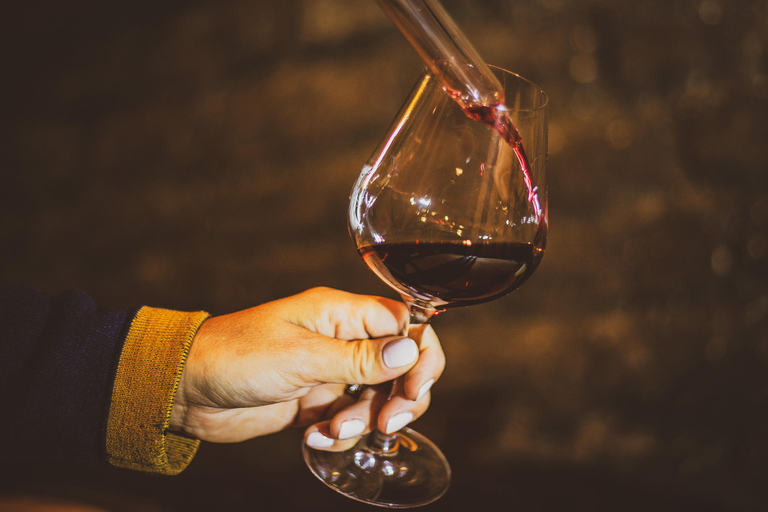 Tour privato di lusso del vino in Borgogna