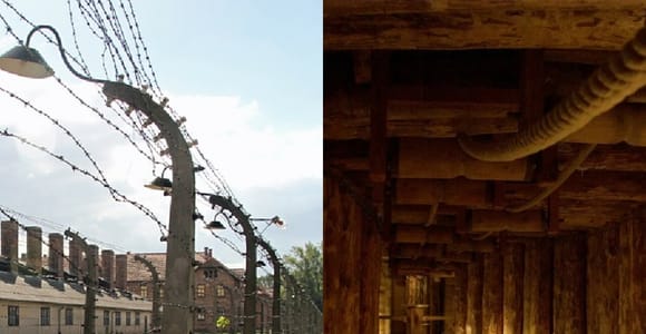 Auschwitz-Birkenau & Salzbergwerk Tour an einem Tag ab Krakau