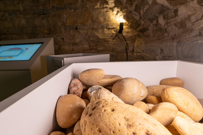 Le Petit Musée du Vin: Tour and tasting in Lyon