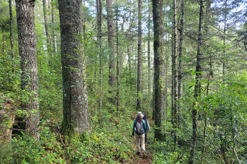 2-Day Sierra Norte Cloud Forest Adventure