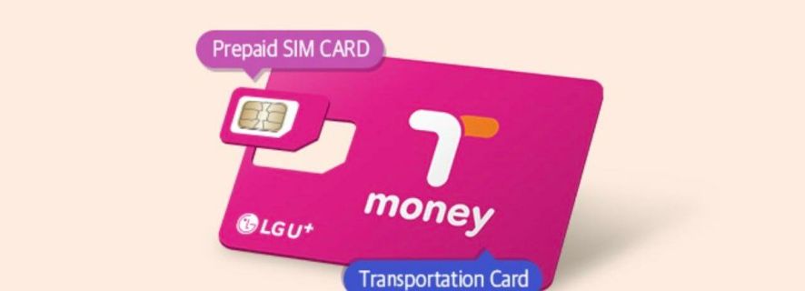 Incheon Airport: Traveler SIM and Public Transportation Card