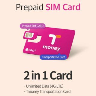 Incheon Airport: Traveler SIM & T-money Transportation Card
