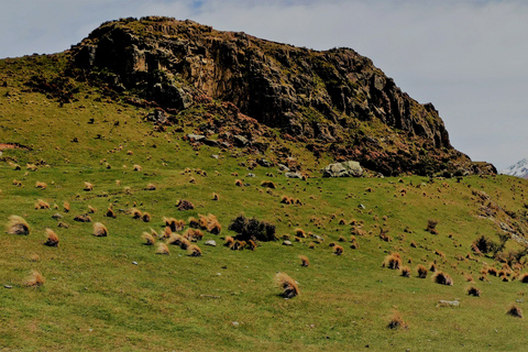 Z Christchurch: Całodniowa wycieczka do Edoras z Władcą Pierścieni