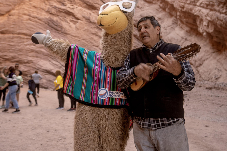 Cafayate: Tour de dia completo por bodegas y degustacion de vinos