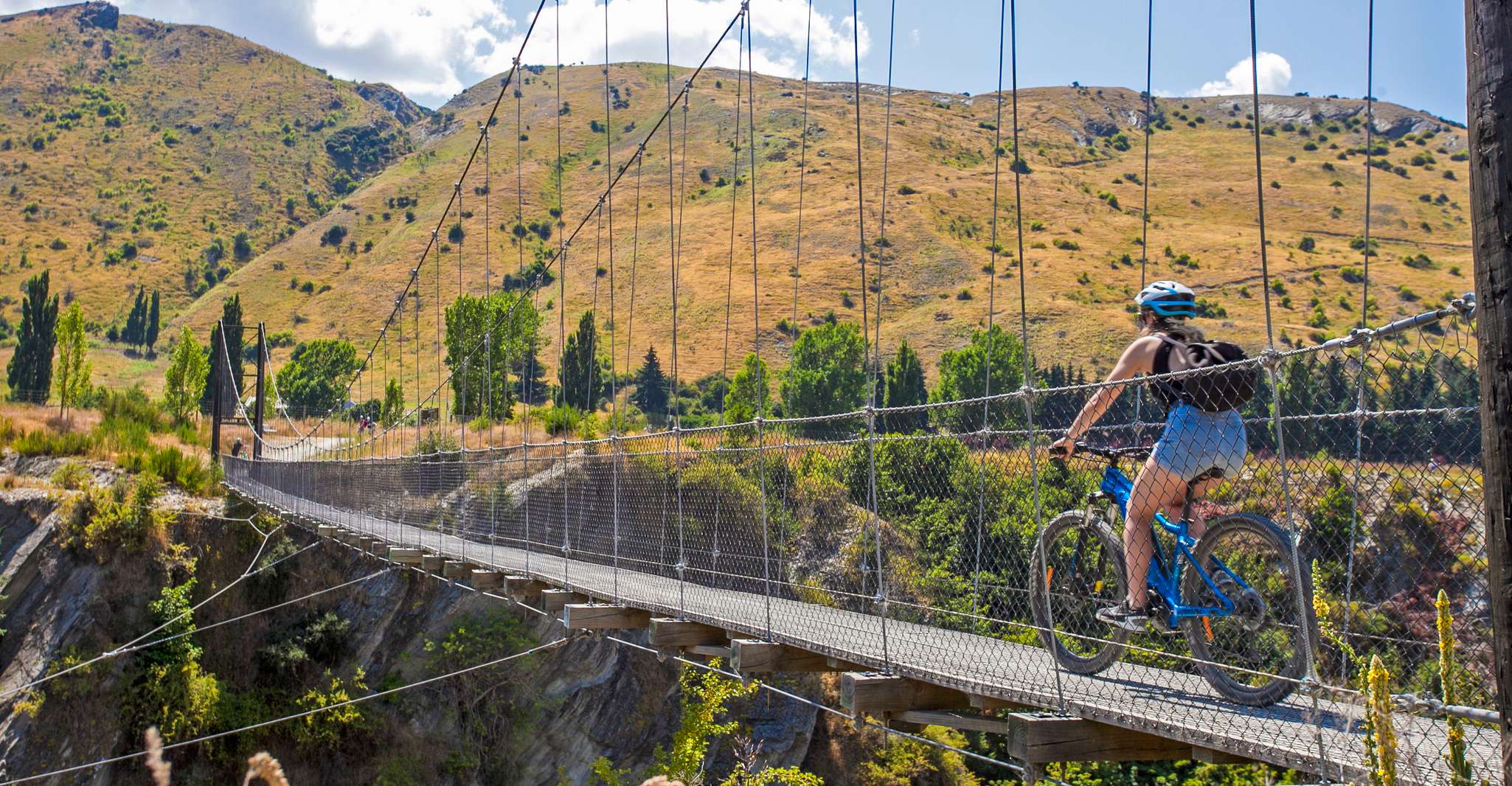 From Arrowtown, Scenic Valley of the Vines Bike & Wine Tour - Housity