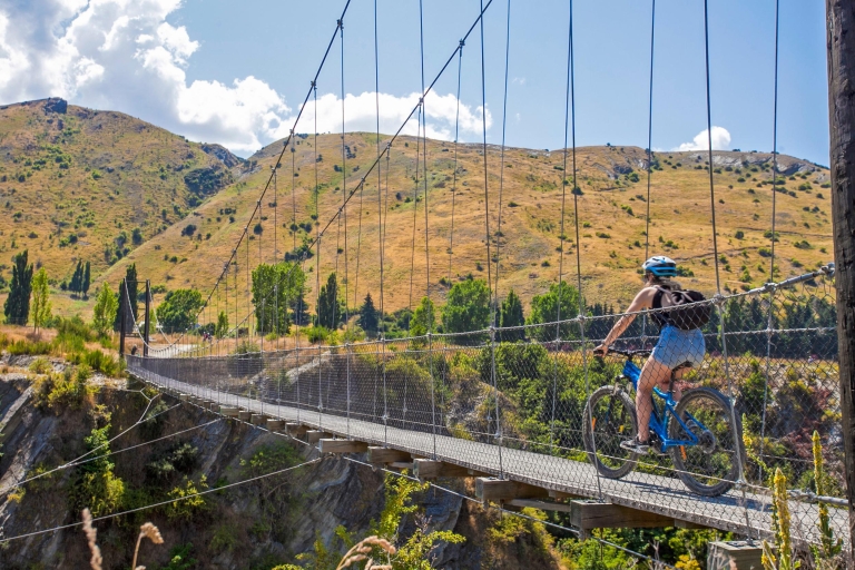 From Arrowtown: Scenic Valley of the Vines Bike & Wine Tour Premium Giant 2022 E-Bike Hire