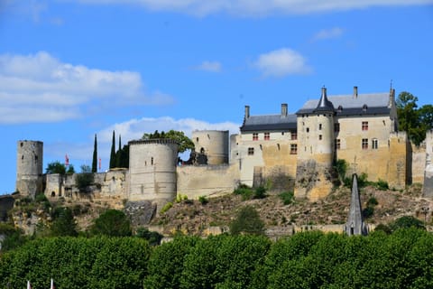 Chinon: Royal Fortress of Chinon Entrance Ticket