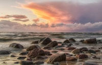 USETOM, voyage à 1 jour à Wolin Park, Miedzyzdroje, Swinoujscie - Housity