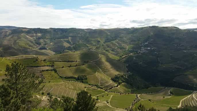 porto tour escursionistico nella valle del douro e crociera in barca con brunch
