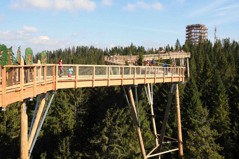 Slovakia: Treetop Walk & Thermal Baths from Krakow Group Tour Hotel Pick-up