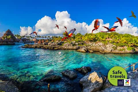 From Riviera Maya: Xcaret Park Entry and Transportation