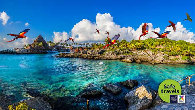 depuis riviera maya entrée au parc xcaret et transport